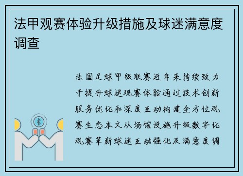 法甲观赛体验升级措施及球迷满意度调查